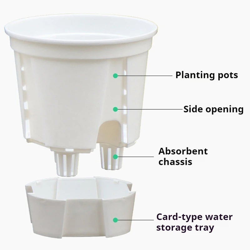 Self-Watering Transparent Orchid Pot | Double Layer Hydroponic