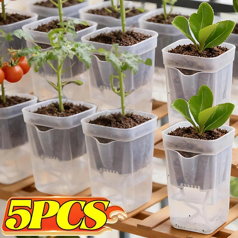 Transparent Self-Watering Plant Pot | Seedling Propagation Planter