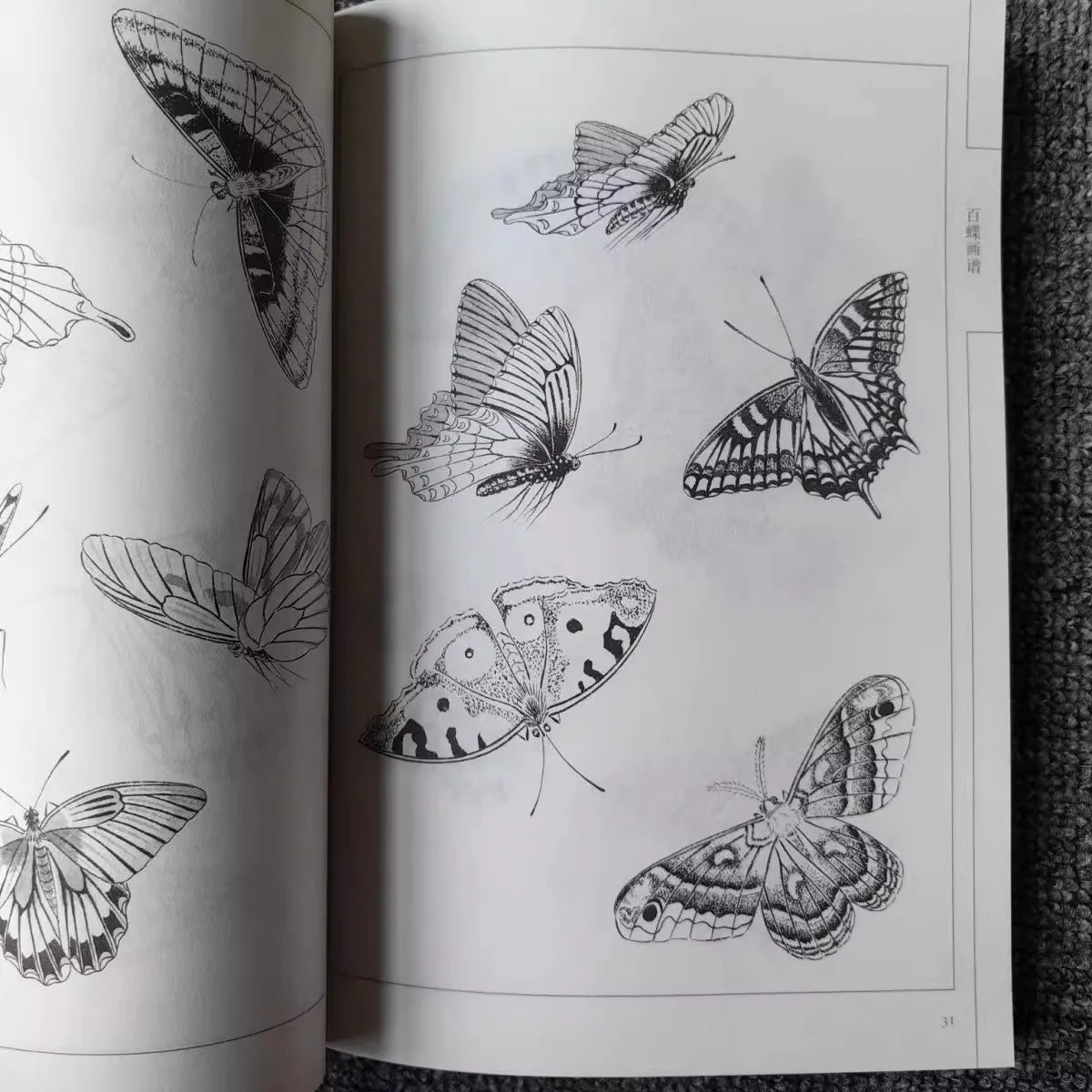 94Pages Hundred Butterflies Chinese Line Drawing Collection Adult