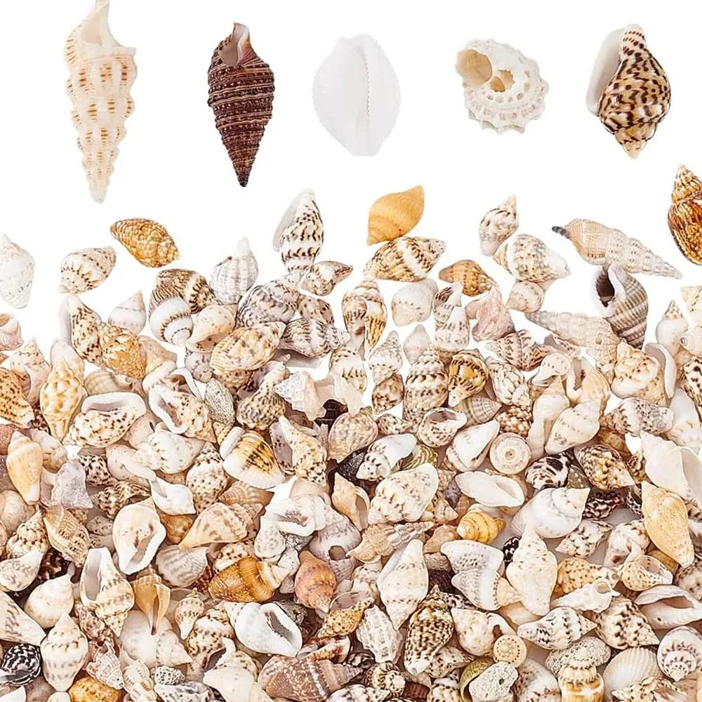 Tiny Sea Shells Box – Candle, Jewelry & Aquarium Crafts