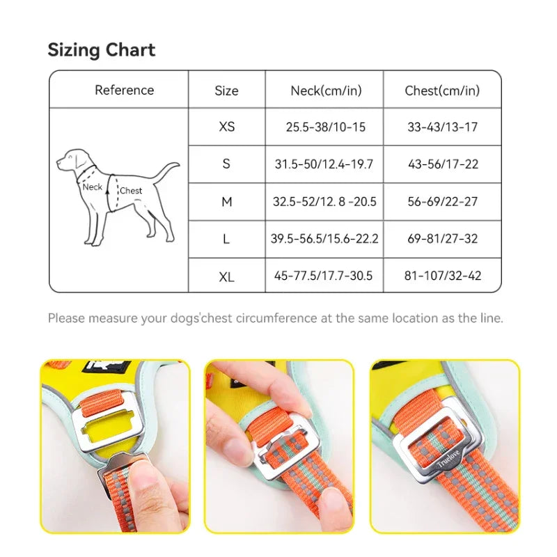 Truelove New Pet Harness Premium Anti Pull Reflective Light Up Nylon Breathable Adjustable Dog Harness Training Vest TLH5657 Peaceful Pleasures Health and Wellness