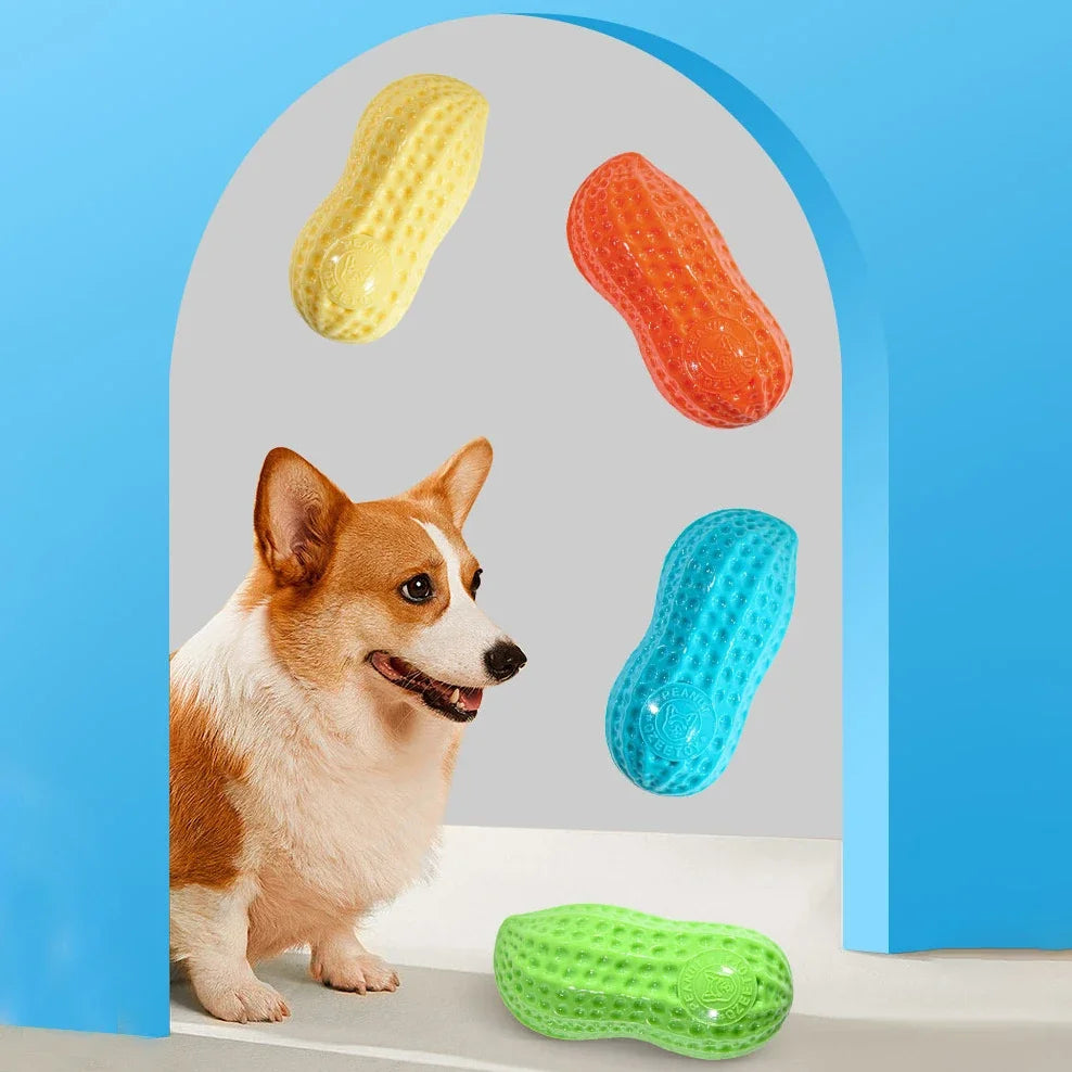 Dog Squeaky Peanut Chew Toy | TPR Teeth Cleaning Interactive