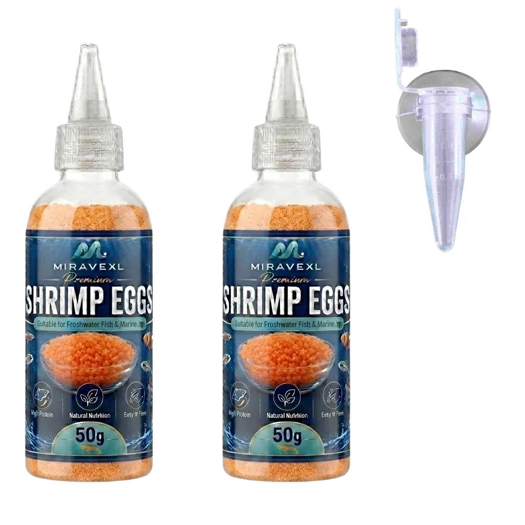 Decapsulated Brine Shrimp Eggs & Fish Fry Feeder Kit | 50g
