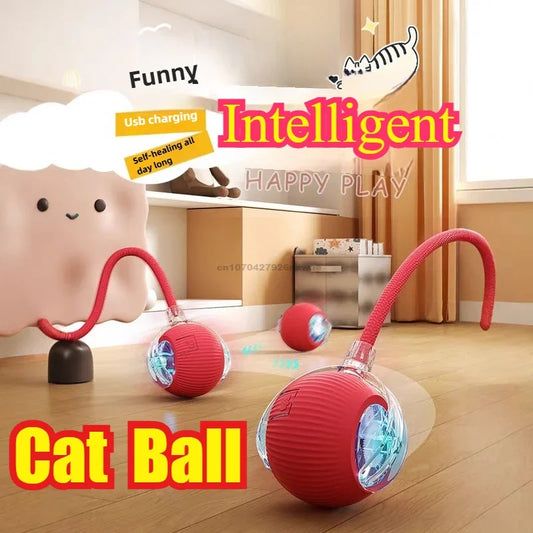 Interactive Auto Rolling Ball Toy for Cats & Dogs | USB Rechargeable Interactive Pet Toy Oasis Select