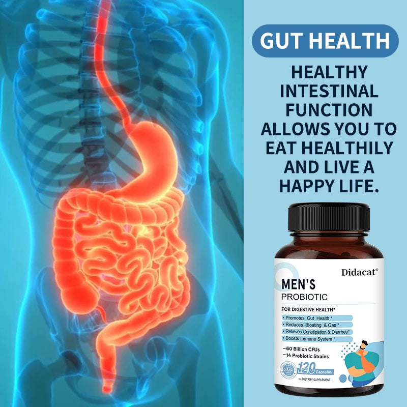 Men's Probiotic with Digestive Enzymes & Prebiotic Fiber | Didacat