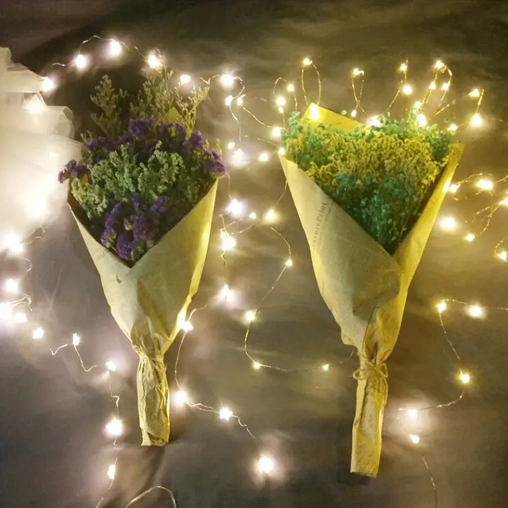 Warm White Copper Wire Fairy Lights – Battery Powered LEDs