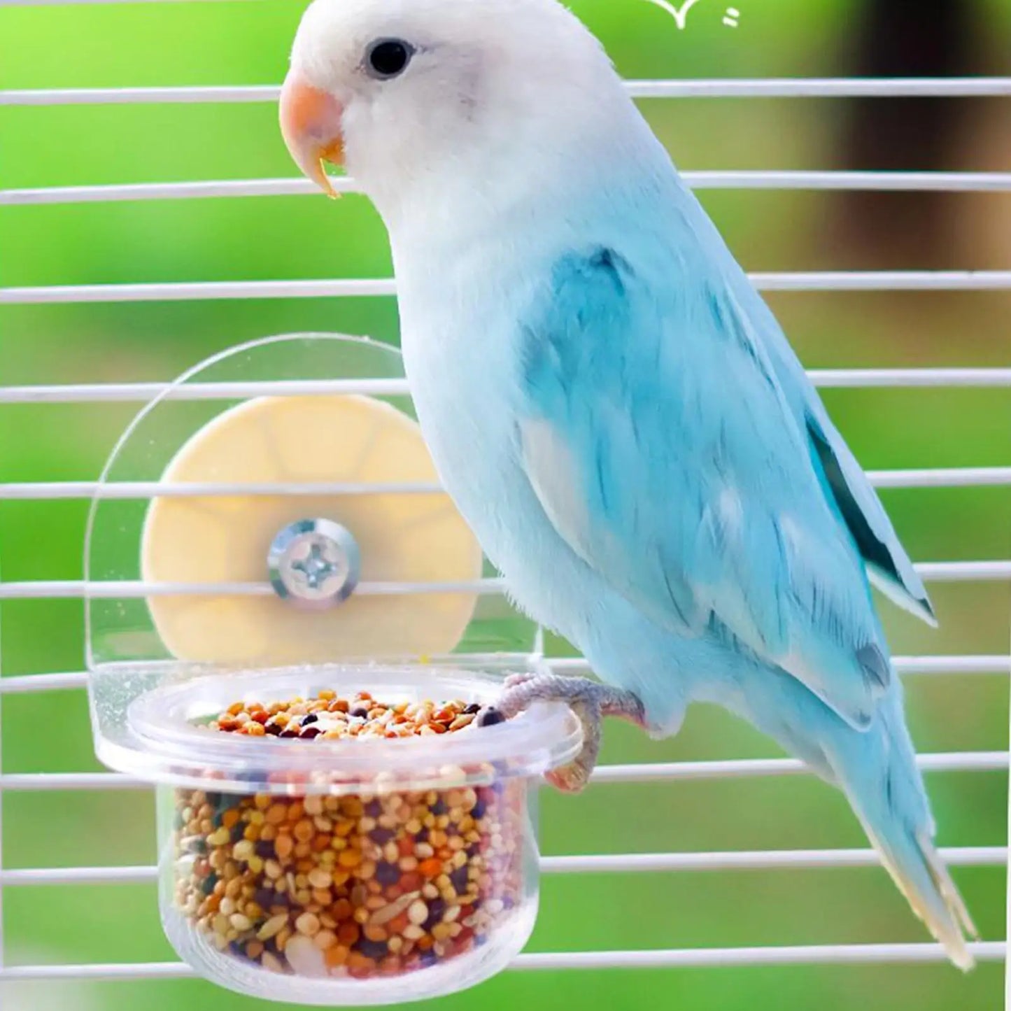 Bird Dishes for Cage Detachable Bird Cups for Cages Container Feeder Dispenser Transparent for Pet Supplies Water Squirrel Peaceful Pleasures Health and Wellness