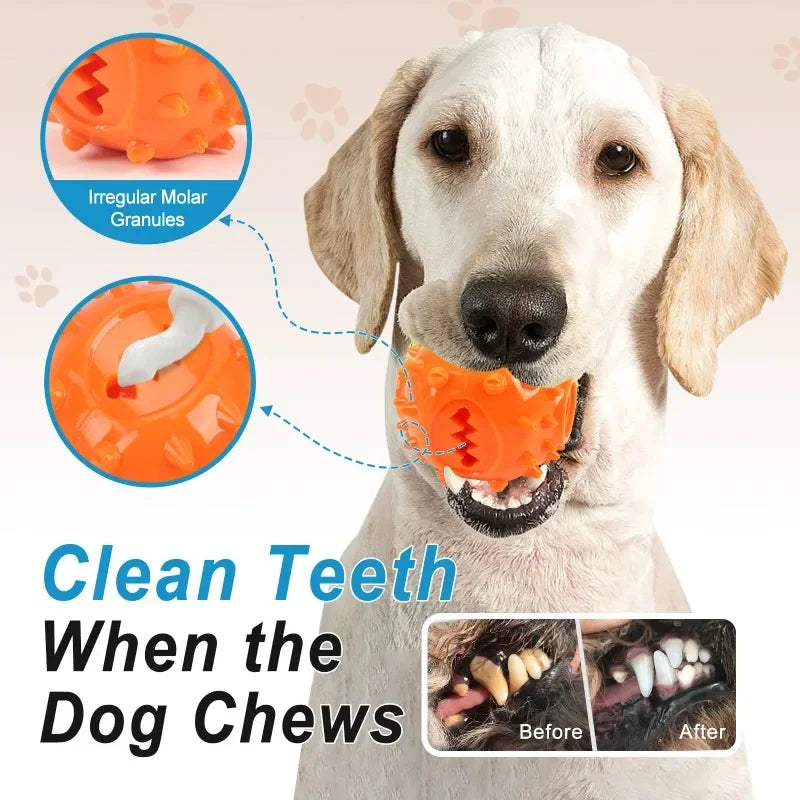 Dog Treat Dispensing Ball – Interactive Chew & Dental Toy