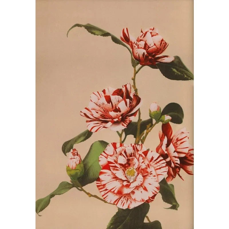 Retro Japanese Floral Illustration Poster Nature Botanical Flower Dahlia Sakura Azalea Canvas Painting Wall Art Room Home Dec Peaceful Pleasures Health and Wellness 8 20x30cm Unframed