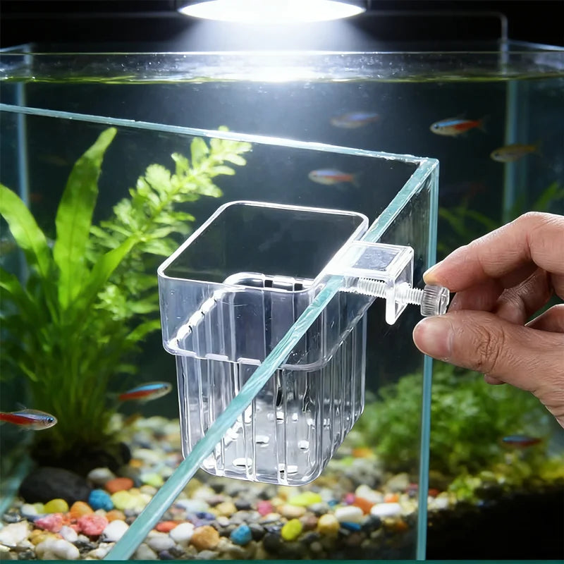 Hydroponic Wall Planter Cup – Fish Tank & Indoor Plant Décor