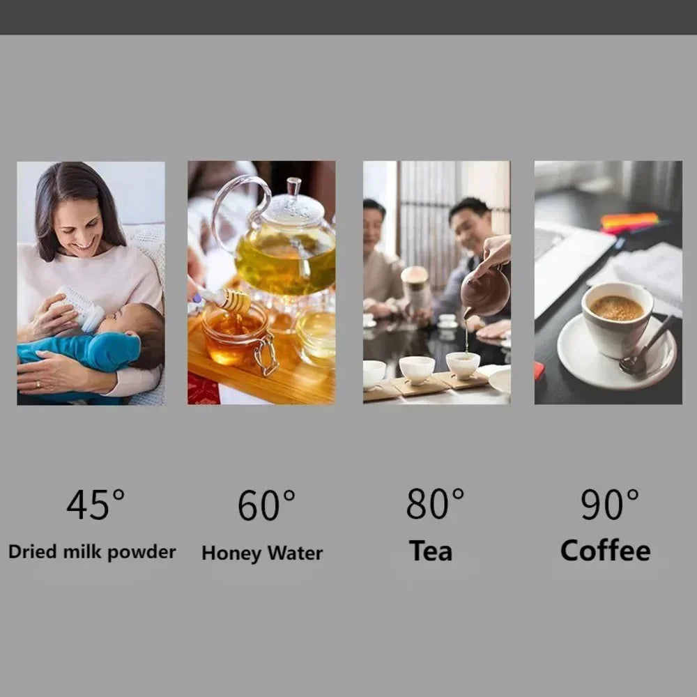 1.6L 304 Stainless Steel Electric Kettle | Auto Shut-Off & Warm
