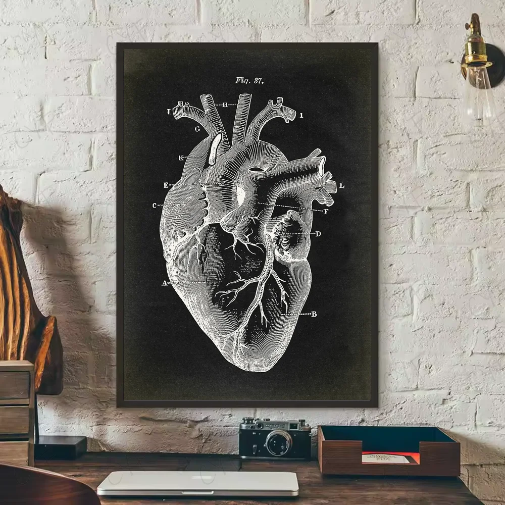 Human Anatomy Muscle System Poster HD art sticky wall waterproof home living room bedroom bar aesthetic decoration Peaceful Pleasures Health and Wellness z7 15X20cmNoframe