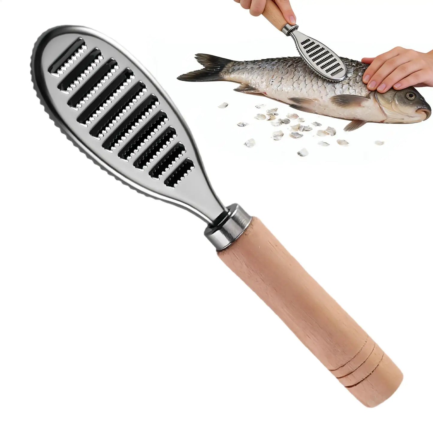 Stainless Steel Fish Scaler & Descaler Tool – Fast Cleaner
