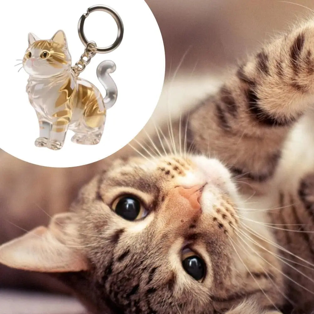 Creative Cat Hair storage box Bag Hanging Ornament Keychain Decoration Gift Cute Cat Hair Creative Transparent Hanging Peaceful Pleasures Health and Wellness