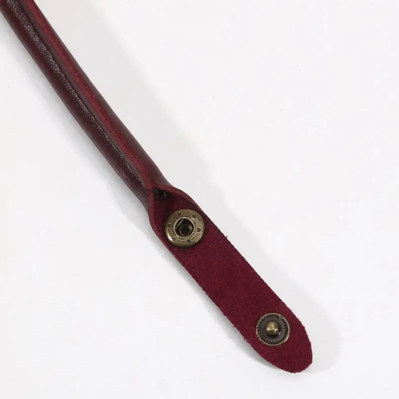 PU Leather Bag Strap Replacement Detachable Snap Clasp Shoulder Handles for Handbags DIY Bag Accessories Carrying Peaceful Pleasures Health and Wellness