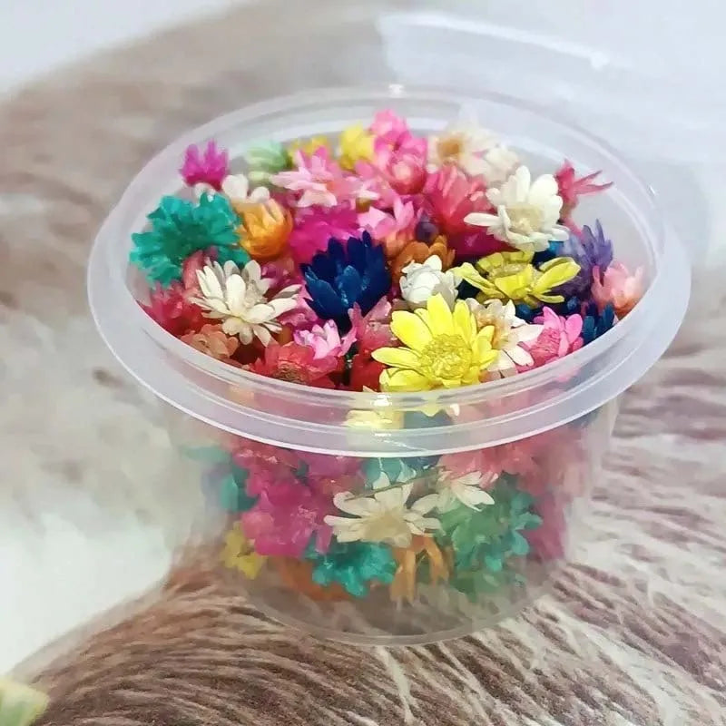 Dried Flowers for Resin, Epoxy, Jewelry & Candle Making