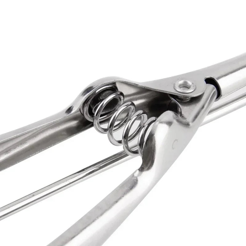 Stainless Steel Spoon Spring Handle Kitchen Stainless Ice Cream Mash Potato Scoop Kitchen Accessories Wholesale 3 Size for Choos Peaceful Pleasures Health and Wellness