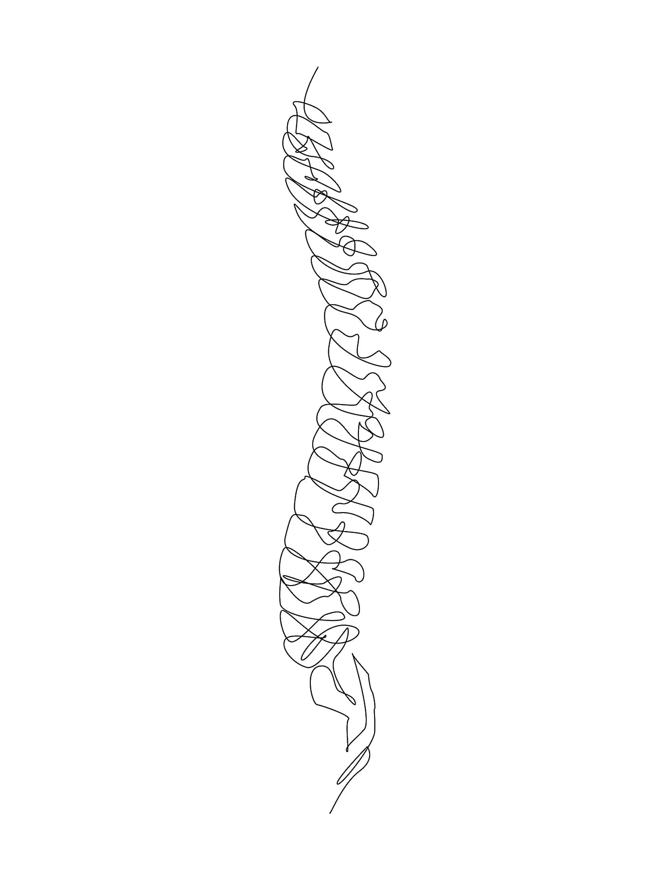 Human Anatomy Skeleton Canvas Wall Art | Medical Line Art Poster