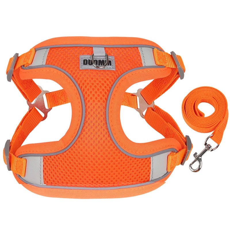 Reflective Dog Harness & Leash Set – Small & Medium Pets