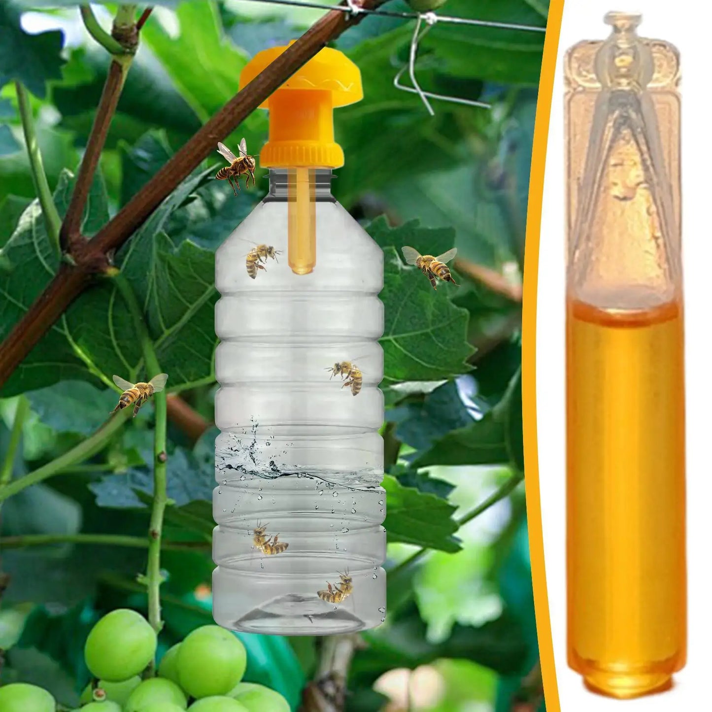 Fruit Fly Trap Refill Lures 10-Pack | Home & Garden Fly Control