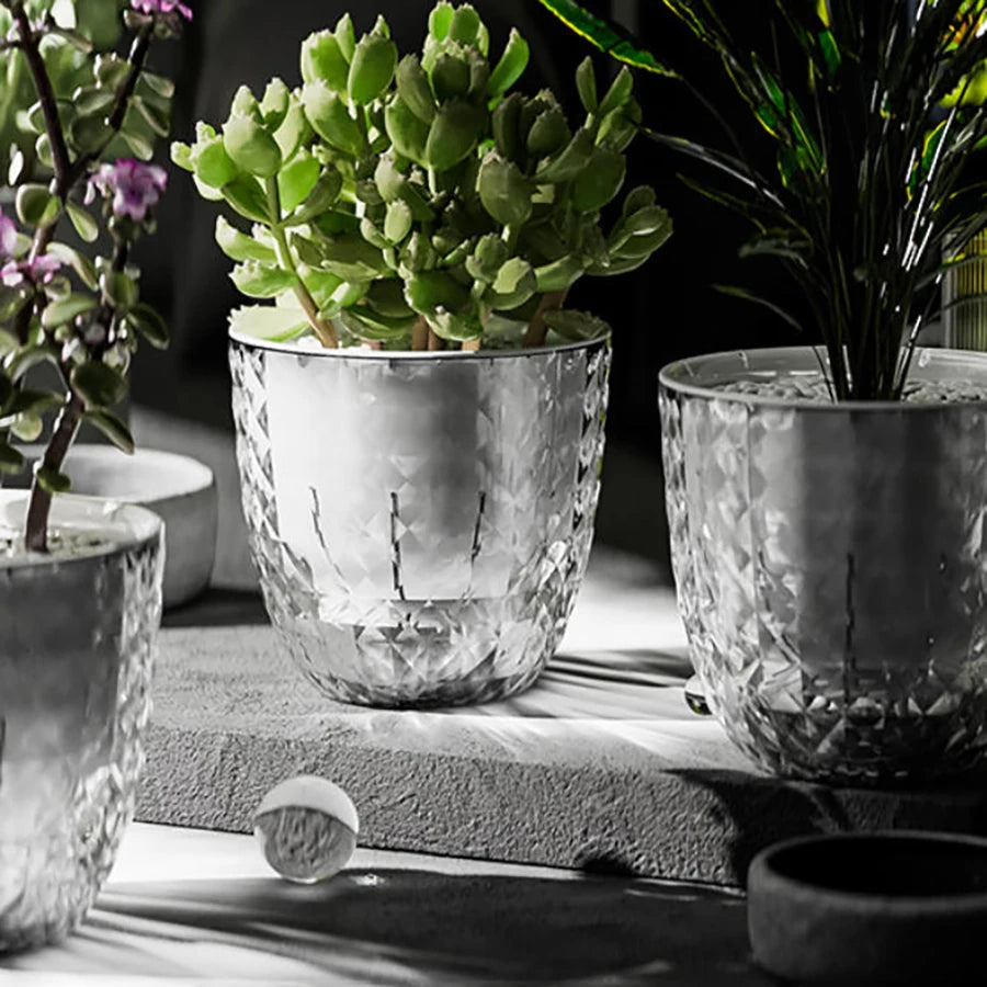 Self-Watering Plant Pots with Reservoir – Double Layer Clear Planter for African Violets & Indoor Plants