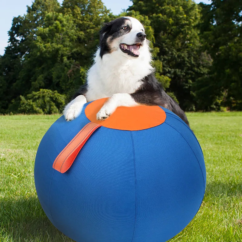 Dog Herding Ball – Anti-Burst Interactive Training Toy 45cm