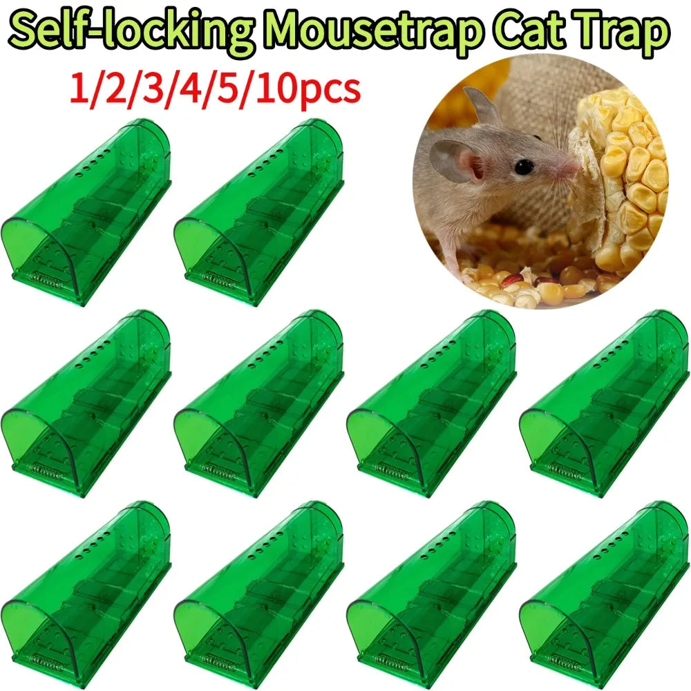 Pet Friendly Mouse Trap for Safe Home and Garage Use Peaceful Pleasures Health and Wellness