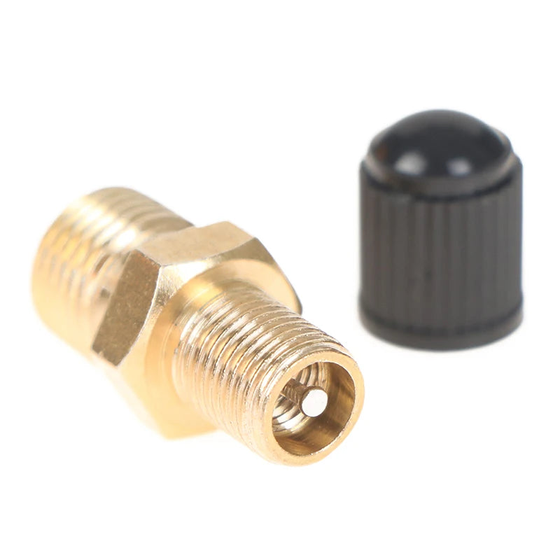 High Quality M10*1、1/8 NPT、1/4 NPT Automobile Tire Valve Tire Valve Tire Pressure Monitoring 1/4 1/8 NPT Valve Peaceful Pleasures Health and Wellness