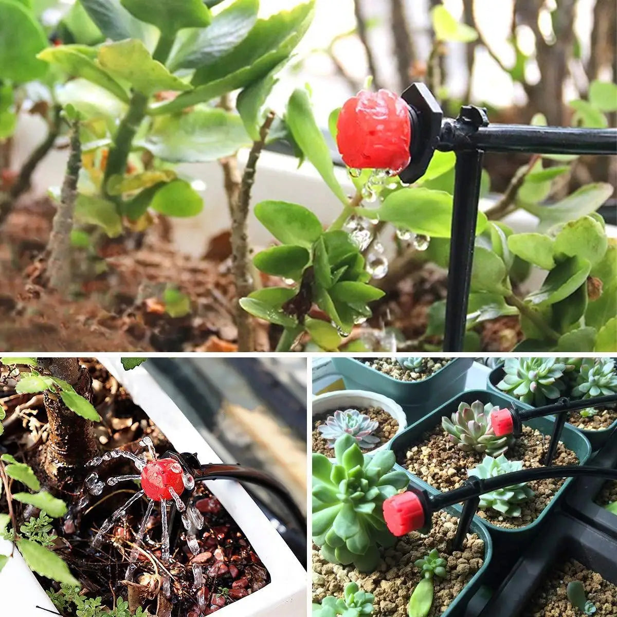 4-Colour 8-Hole Adjustable Dripper Irrigation Nozzle for Garden Plants Hose Watering System Sprinklers 1/4'' Emitter Micro Drip Peaceful Pleasures Health and Wellness