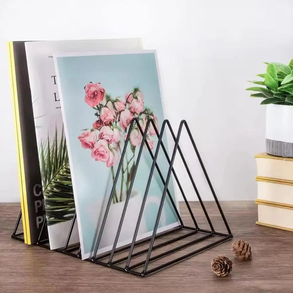 Storage Rack For Vinyl Records Magazine Multifunctional Vertical Creative European Art Collection Album Display Rack Peaceful Pleasures Health and Wellness