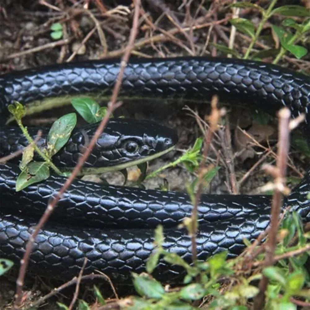 Realistic Rubber Snake Prank Toy | 127cm Halloween Anaconda