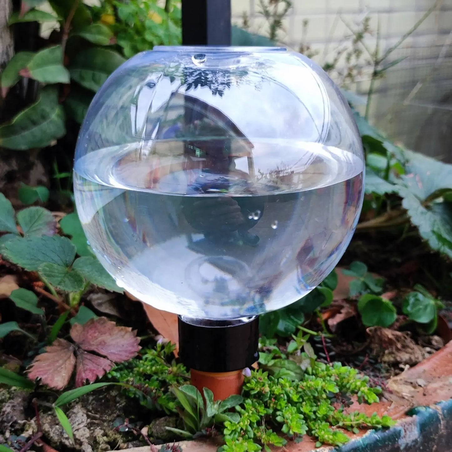 500ml Self-Watering Plant Globe Bulb | Auto Drip Spike