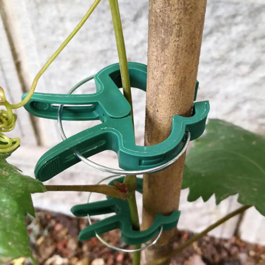 Plant Support Clips 20-Pack | Reusable Vine & Tomato Clamps Garden Support Clips Oasis Select