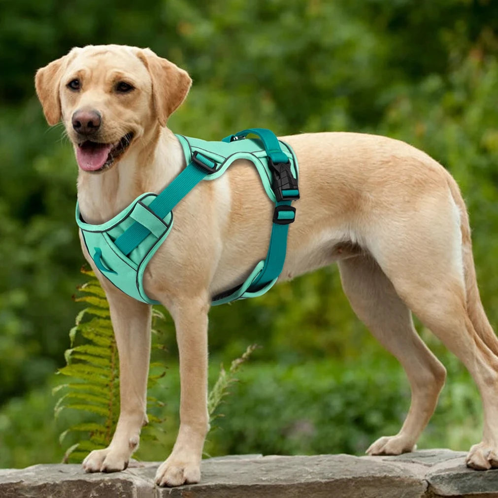 Mesh Breathable Reflective Dog Harness Vest – All Sizes