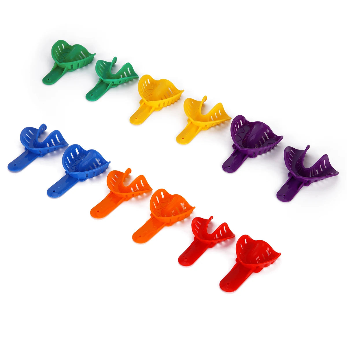 12-Piece Dental Impression Trays Set – Small, Medium & Large