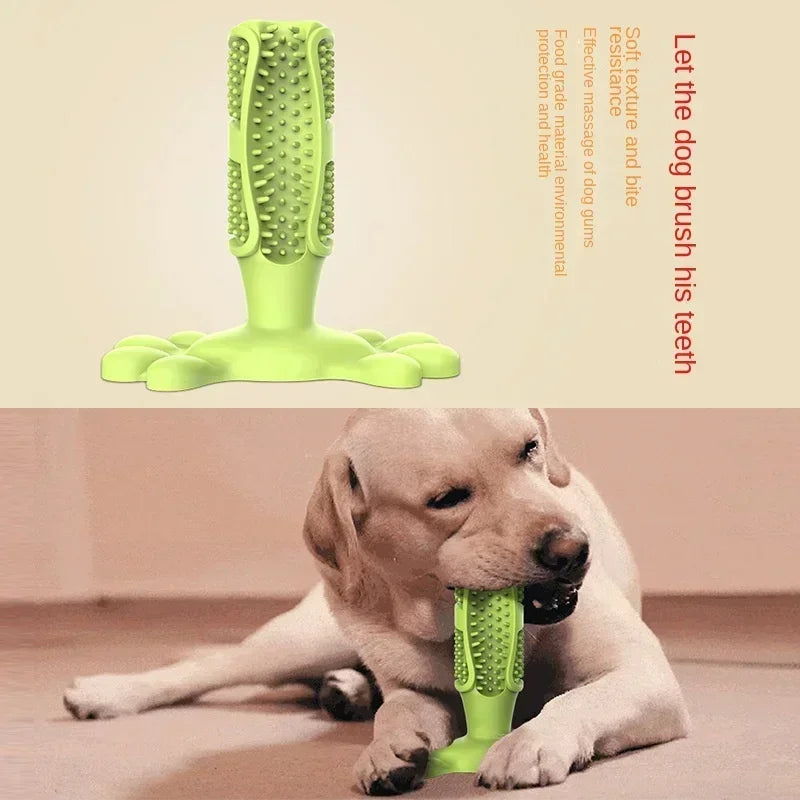 Cactus Dog Chew Toy | Rubber Treat Dispenser & Teeth Cleaner Dog Chew Toy Peaceful Pleasures Health and Wellness