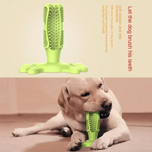Cactus Dog Chew Toy | Rubber Treat Dispenser & Teeth Cleaner Dog Chew Toy Peaceful Pleasures Health and Wellness