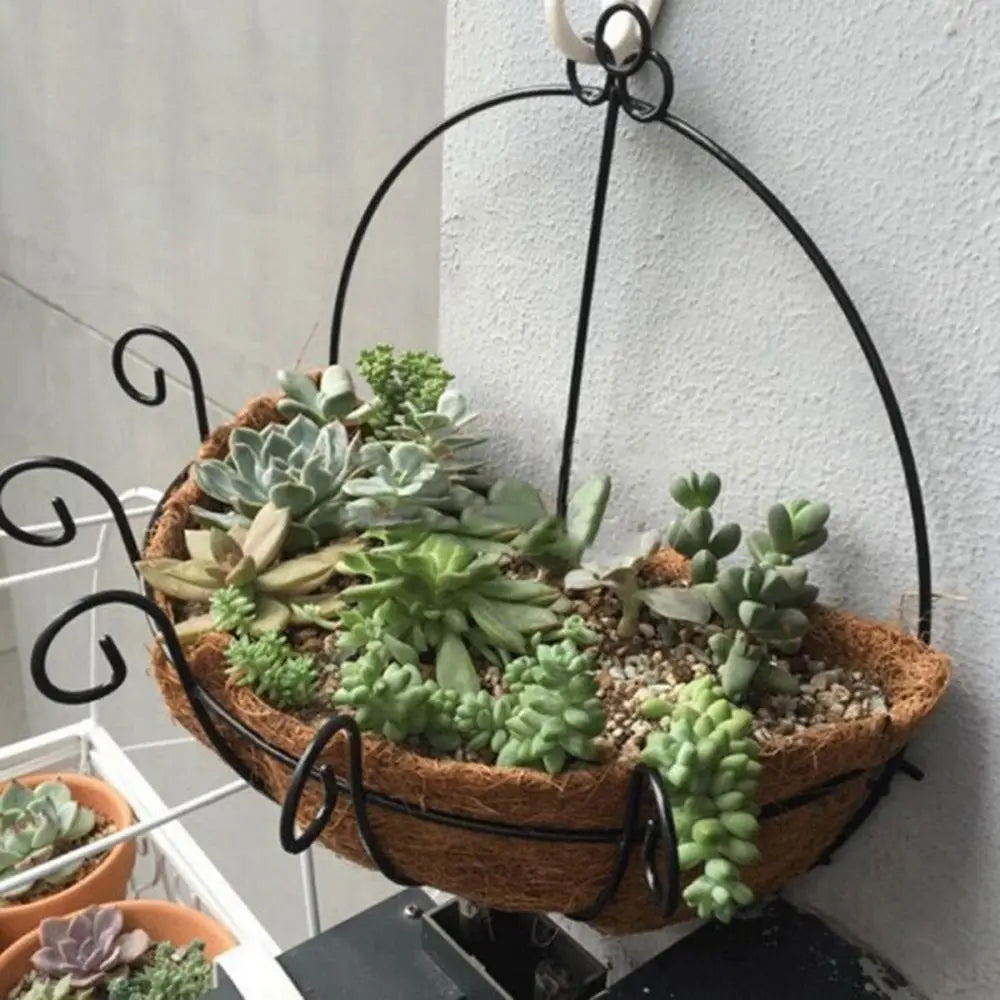 Coconut Palm Iron Hanging Basket Flower Pot | Garden Wall Decor