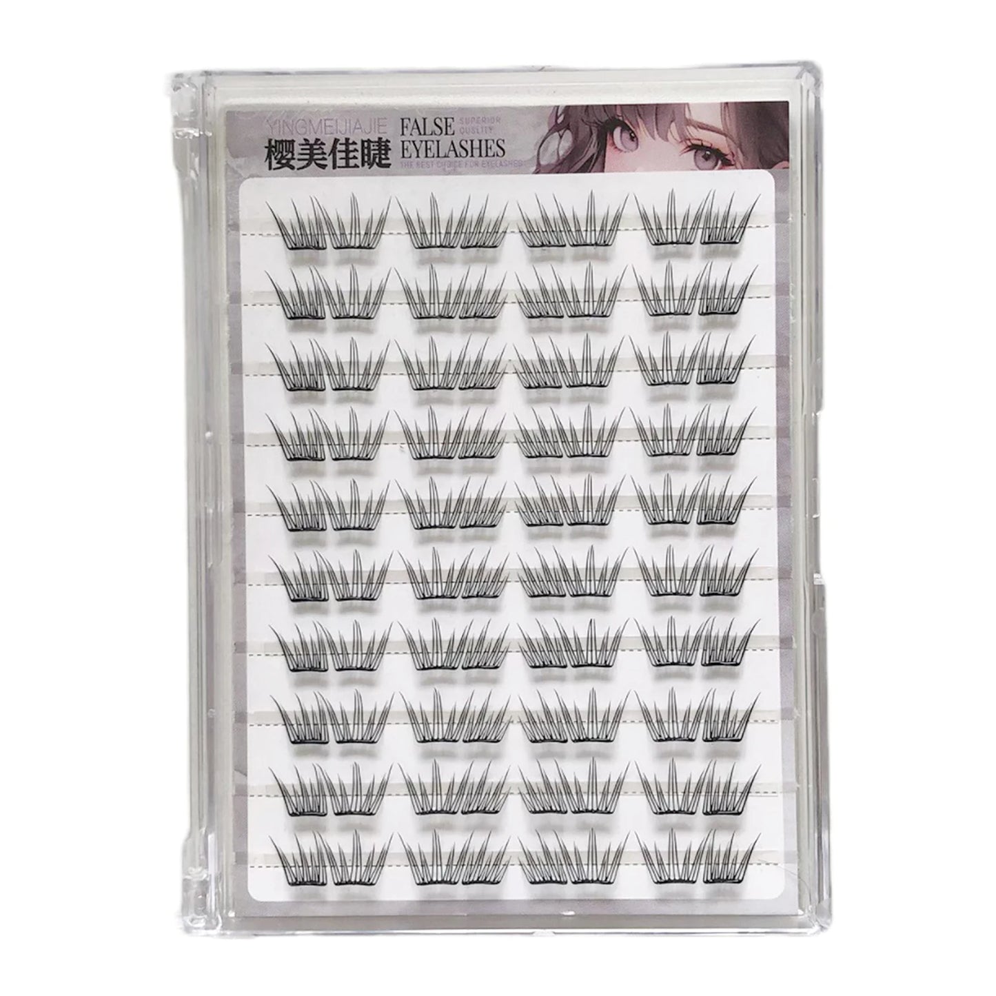 Korean Butterfly Cluster False Eyelashes – Natural Long & Thick