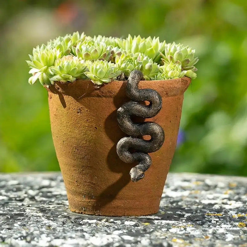 Upside-Down Snake Resin Sculpture | Plant Pot Garden Ornament