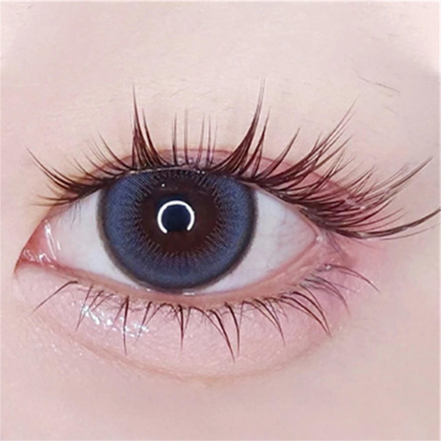 Cat Eye Cluster False Eyelashes | Natural Volume, Clear Band False Eyelashes Peaceful Pleasures Health and Wellness