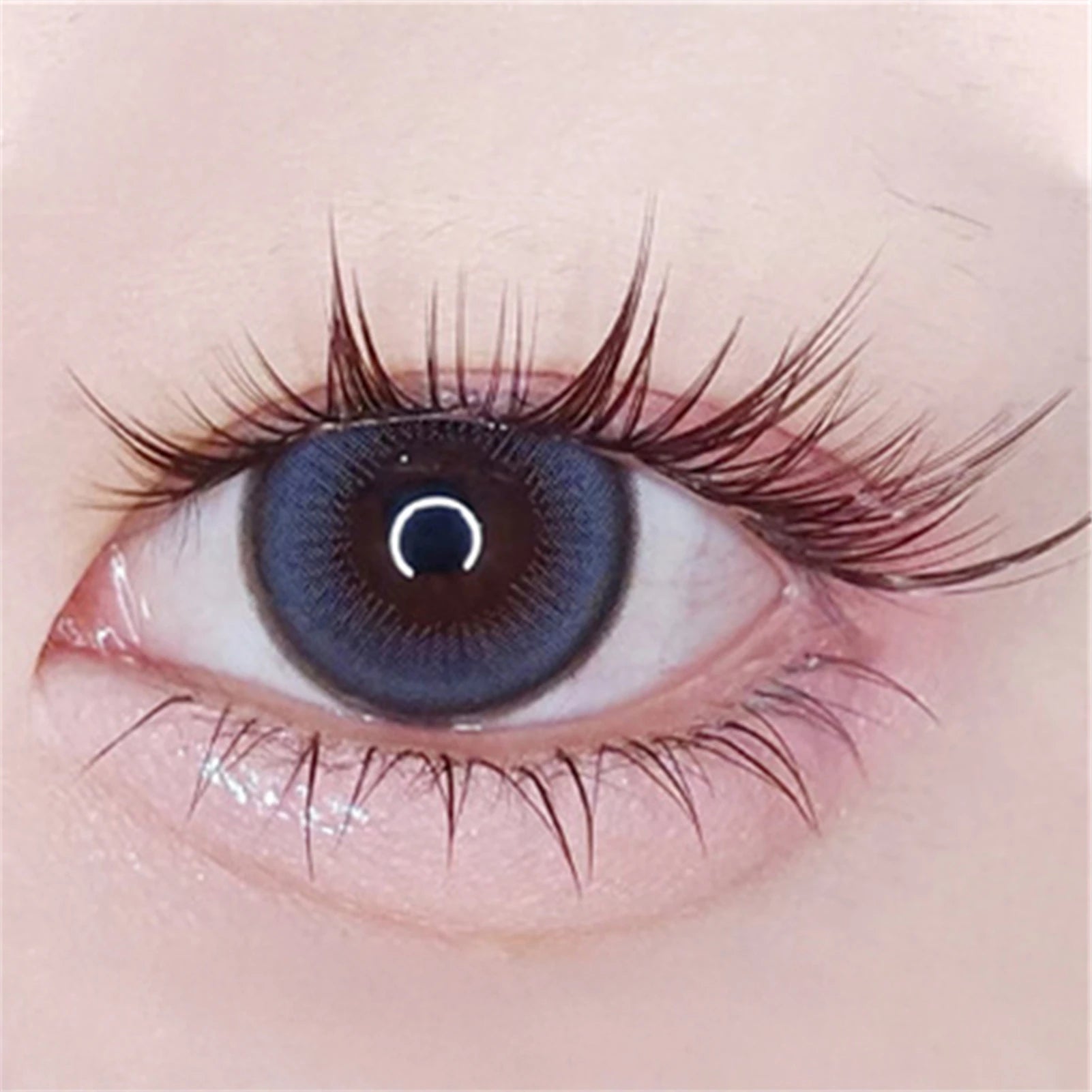 Cat Eye Cluster False Eyelashes | Natural Volume, Clear Band False Eyelashes Peaceful Pleasures Health and Wellness
