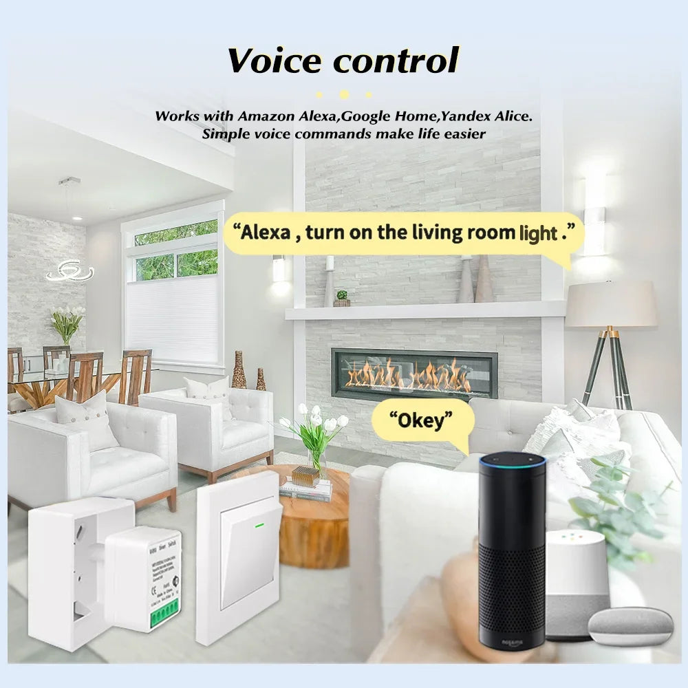 Smart WiFi/Zigbee 16A–20A Switch Module | Tuya & Alexa