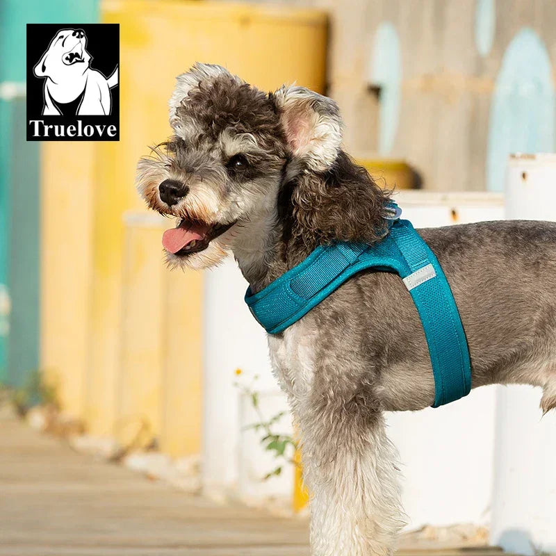 Truelove Easy to Take-on Dog Harness Soft Material Fashion Design Adjustable Reflective Pet Har TLH3013 TLH30131 Peaceful Pleasures Health and Wellness Blue S China Mainland