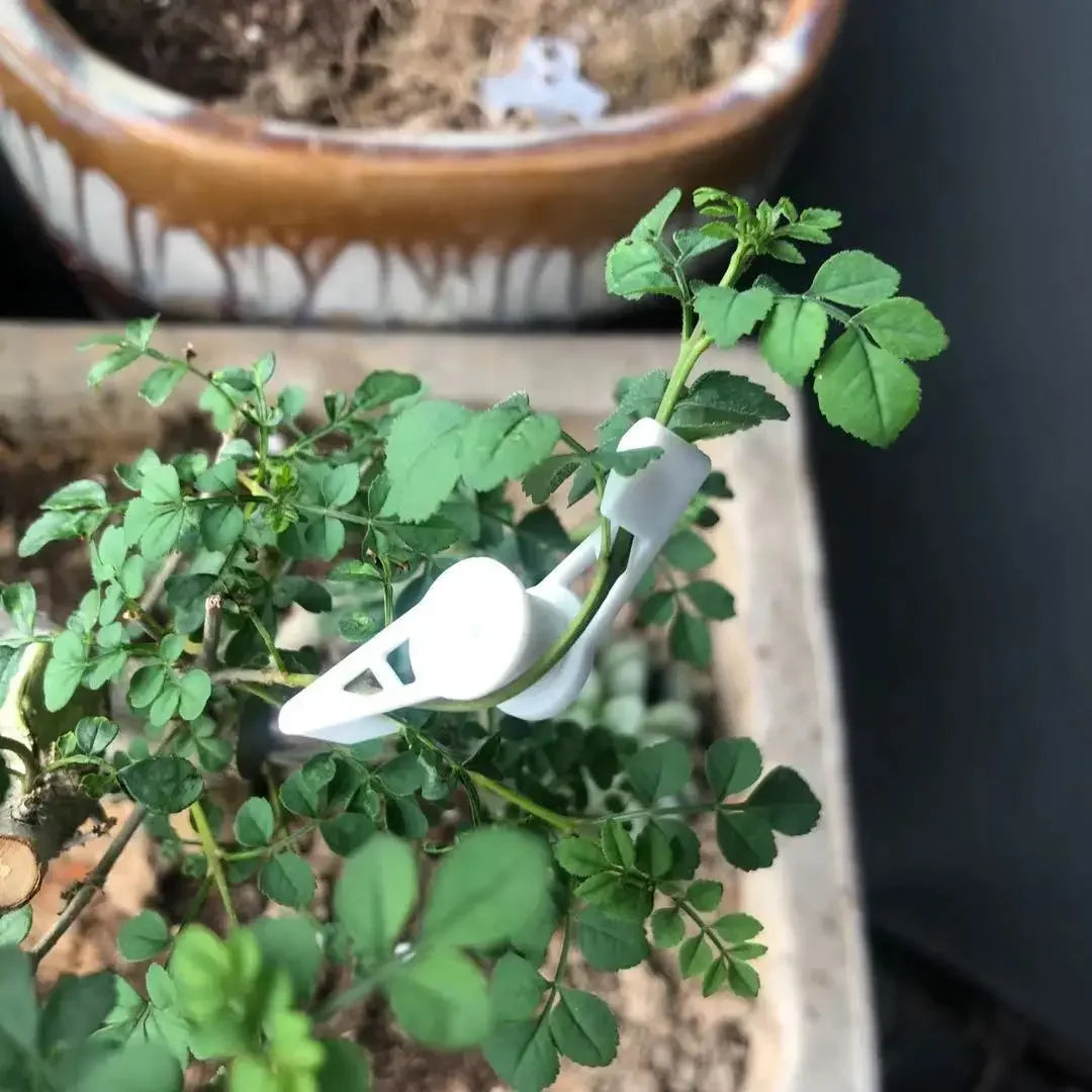 360° Plant Branch Bending Clips | LST Stem Training Tool