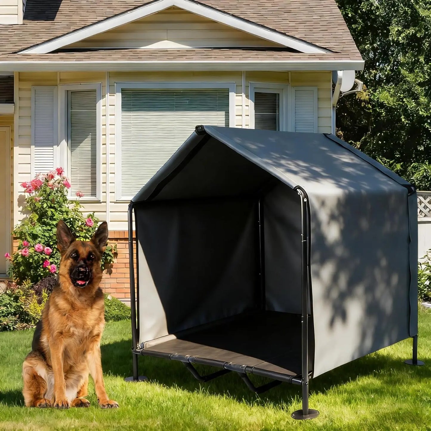Dog sitting outside a portable dog house in a backyard.