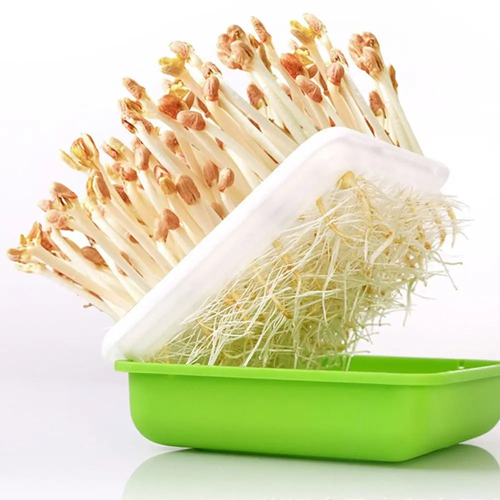Hydroponic Sprouting Tray – Soilless Seed Germination Kit