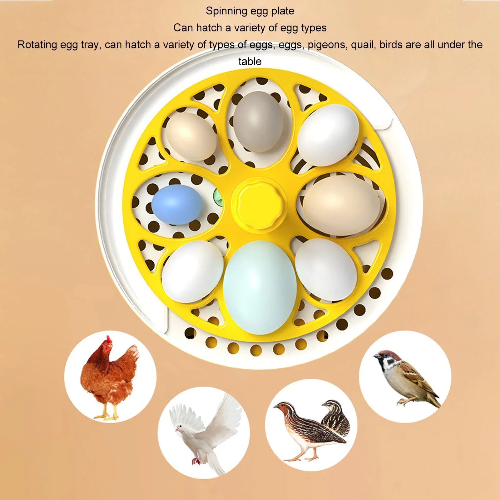 Digital Egg Candler Egg Incubator Noiseless Automatic Temperature Humidity Eggs Transparent Lid for Home Peaceful Pleasures Health and Wellness