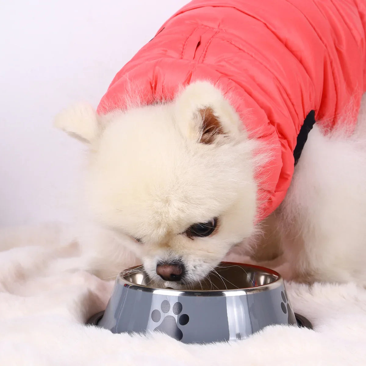 Stainless Steel Pet Bowl | Anti-Slip, Stackable Dog & Cat Feeder