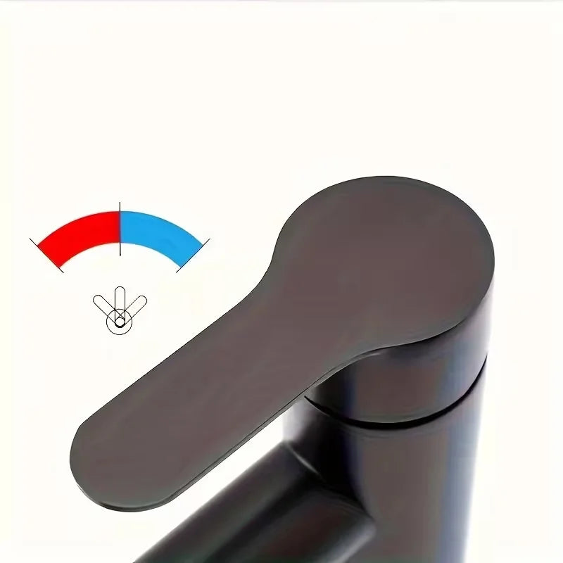 Black 304 Stainless Steel Bathroom Faucet | Hot & Cold
